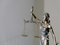 Jolene Maloney:Criminal Appeals Process